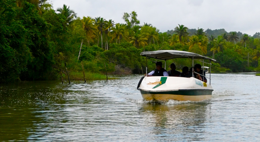 Poovar Backwater cruise in a Motorboat