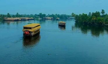 Fort Kochi, Mattancherry and Alleppey Houseboat Day Cruise