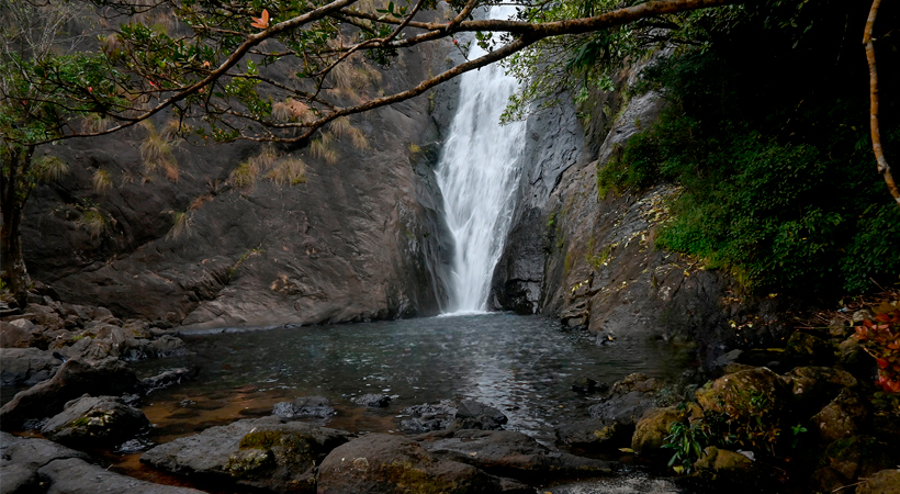 Kattikkayam Waterfalls: A Hidden Gem in Kerala’s Western Ghats