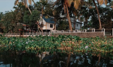 Priyoori Treehouse – Kochi