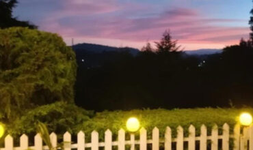 The Tamarillo – Ooty