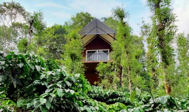 Wayanad Whistling Woods