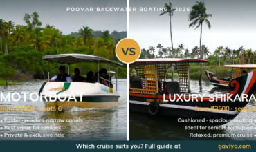 Poovar Motorboat vs Shikara: Which Backwater Cruise is Better in 2026?