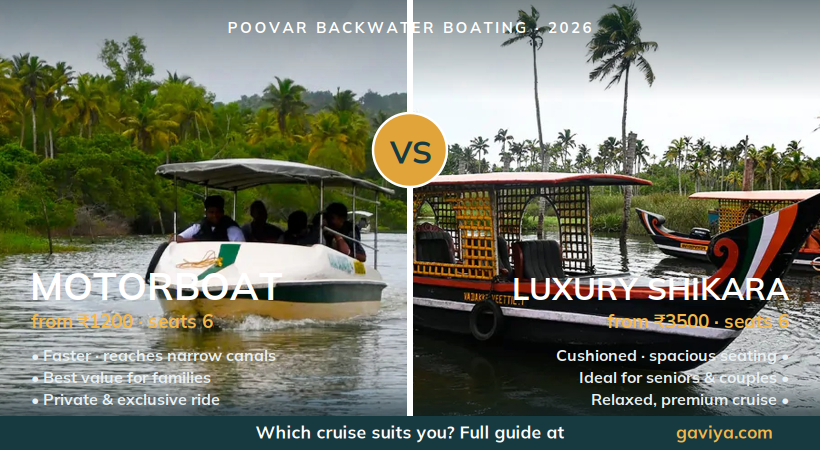 Poovar Motorboat vs Shikara: Which Backwater Cruise is Better in 2026?