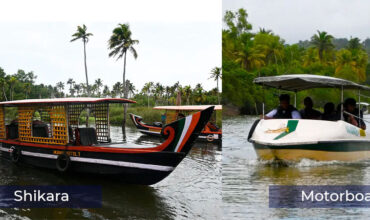Poovar Motorboat vs Shikara: Which Backwater Cruise is Better in 2026?
