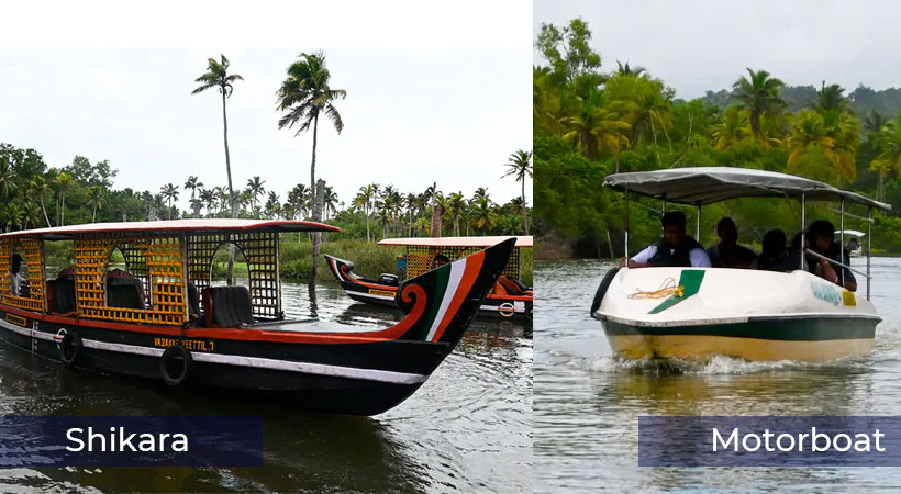 Poovar Motorboat vs Shikara: Which Backwater Cruise is Better in 2026?