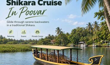 Solo Trip Boating in Poovar | Explore Poovar Lake, Mangroves & Estuary
